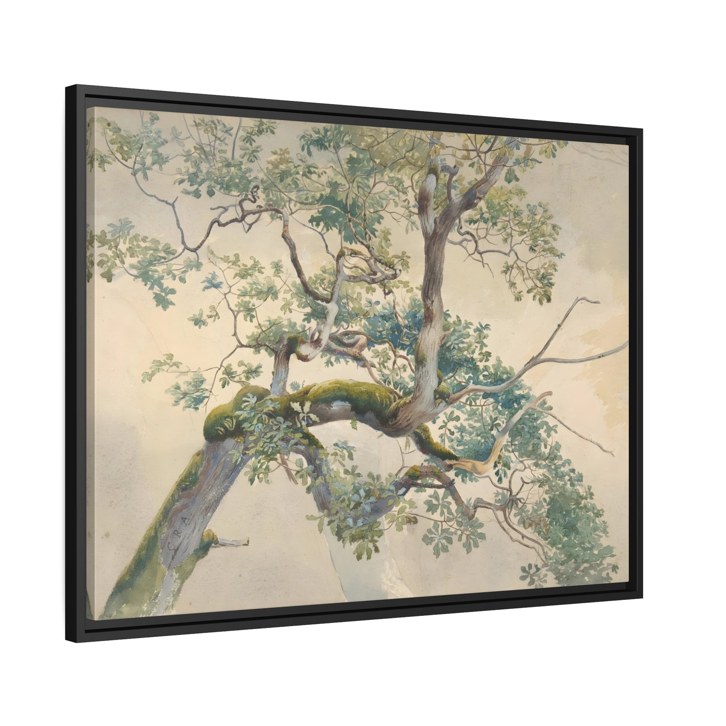 Charles Reginal Aston Tree Branches - Framed Canvas Art Print in Black Pinewood Frame