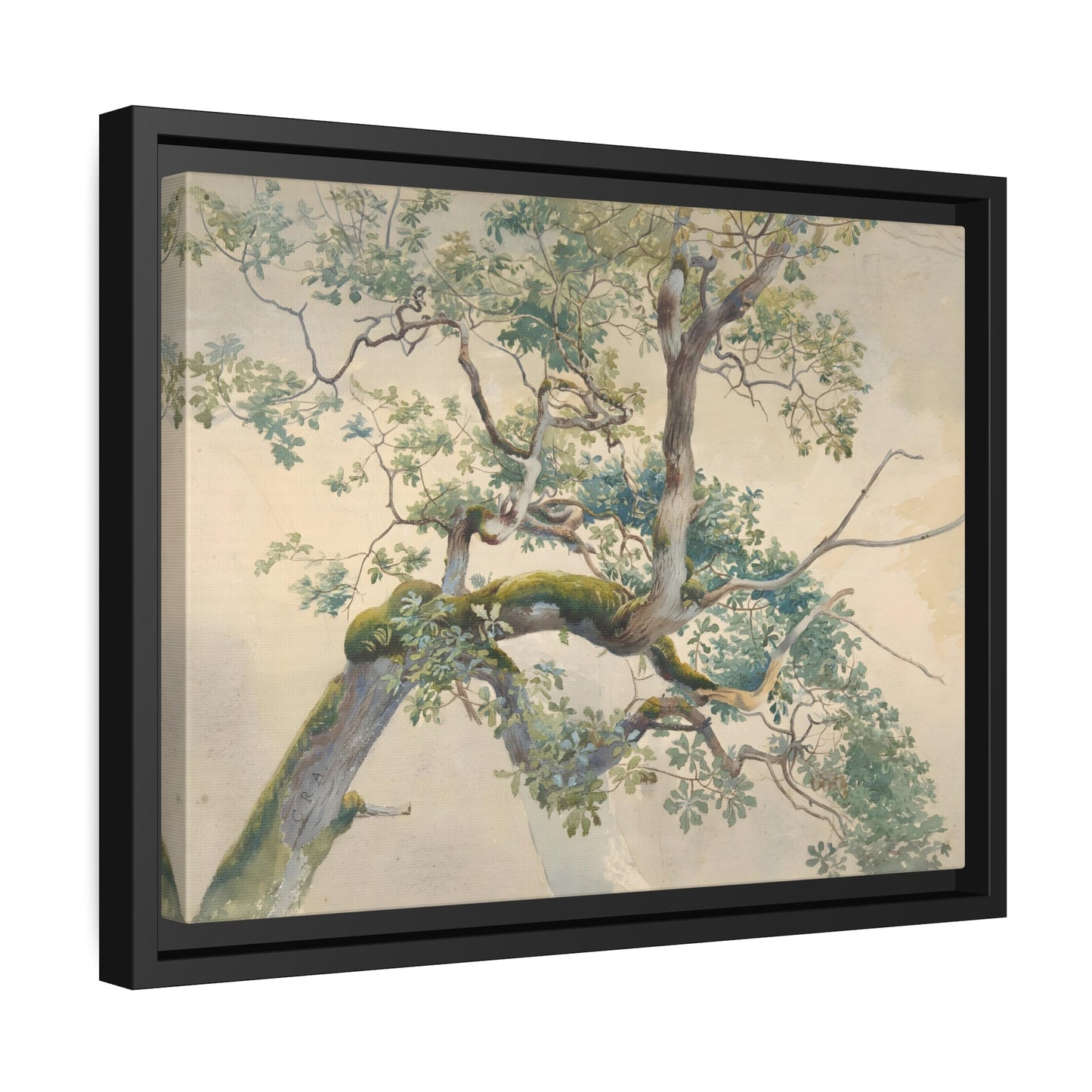 Charles Reginal Aston Tree Branches - Framed Canvas Art Print in Black Pinewood Frame