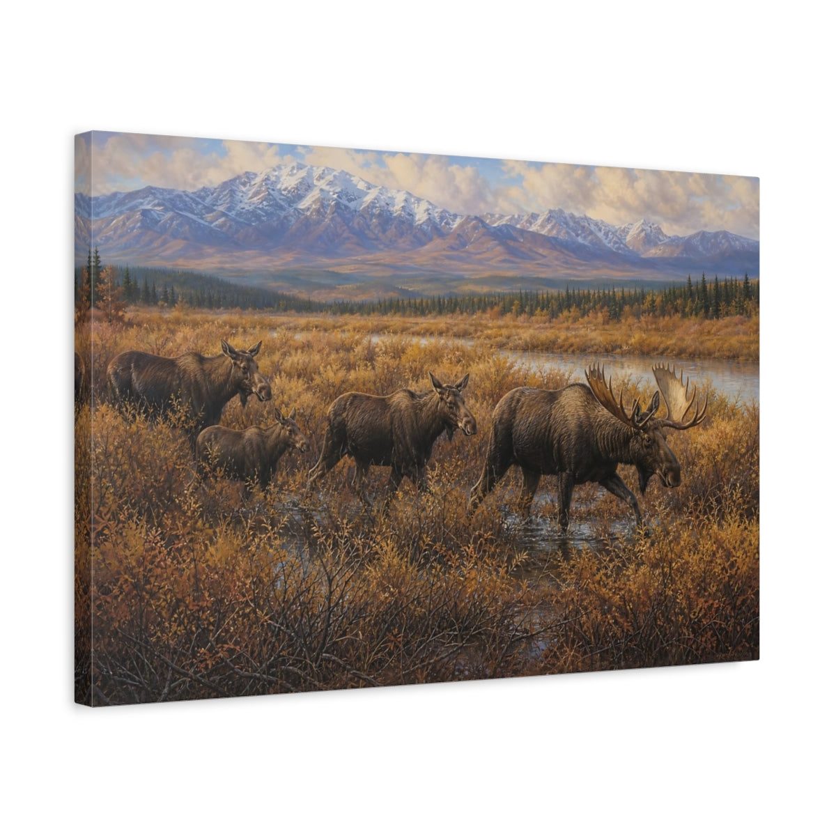 Side Mockup 3. Cinematic Nature Realism Moose Moving Through Willow Thicket shown as stretched canvas wall art