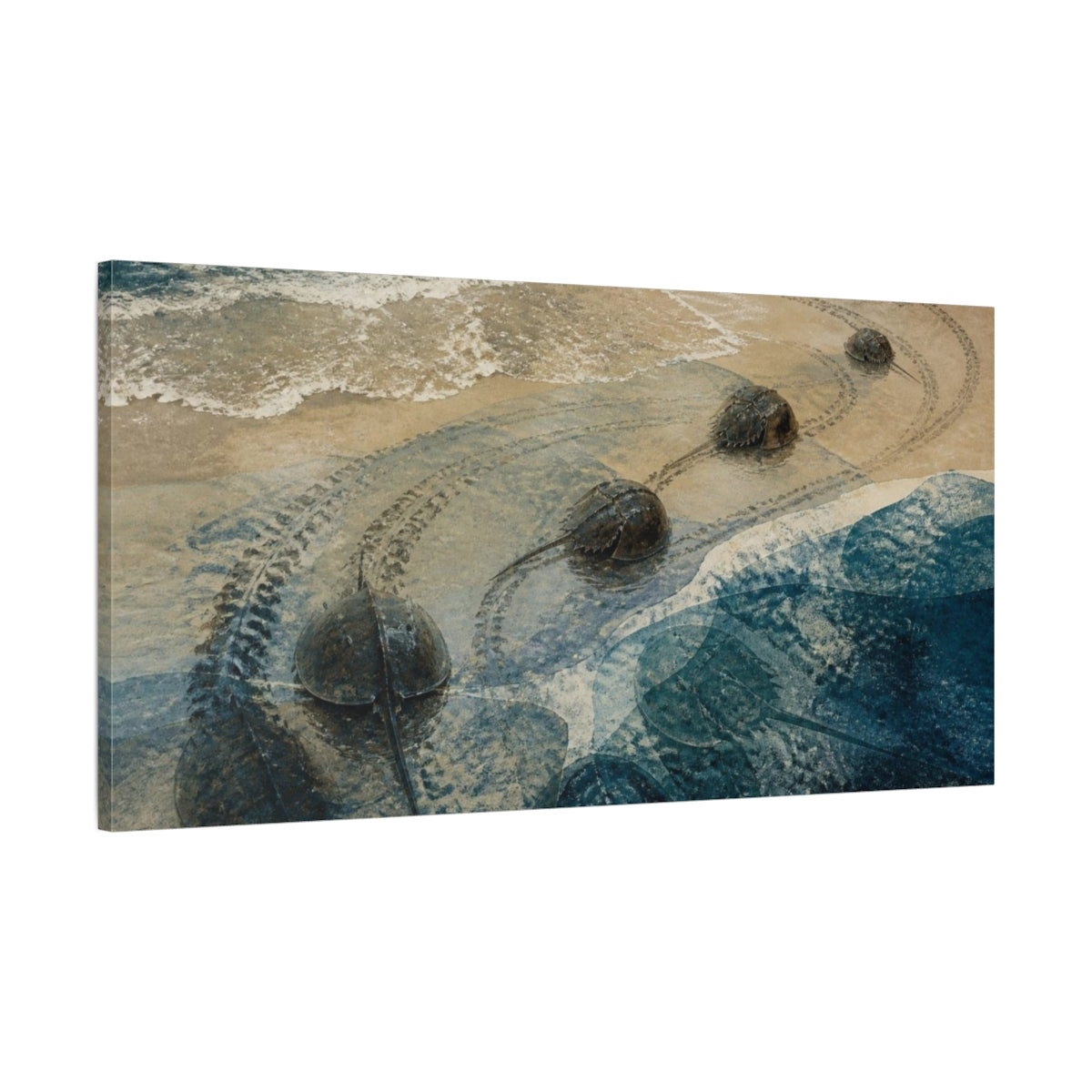 Main Mockup. Coastal Horseshoe Crabs shown as canvas print
