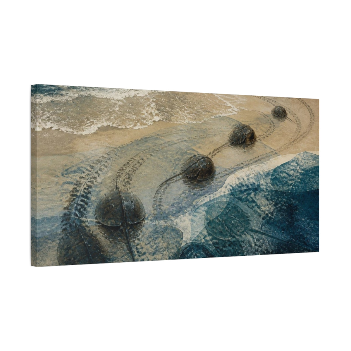 Side Mockup 1. Coastal Horseshoe Crabs shown as canvas print