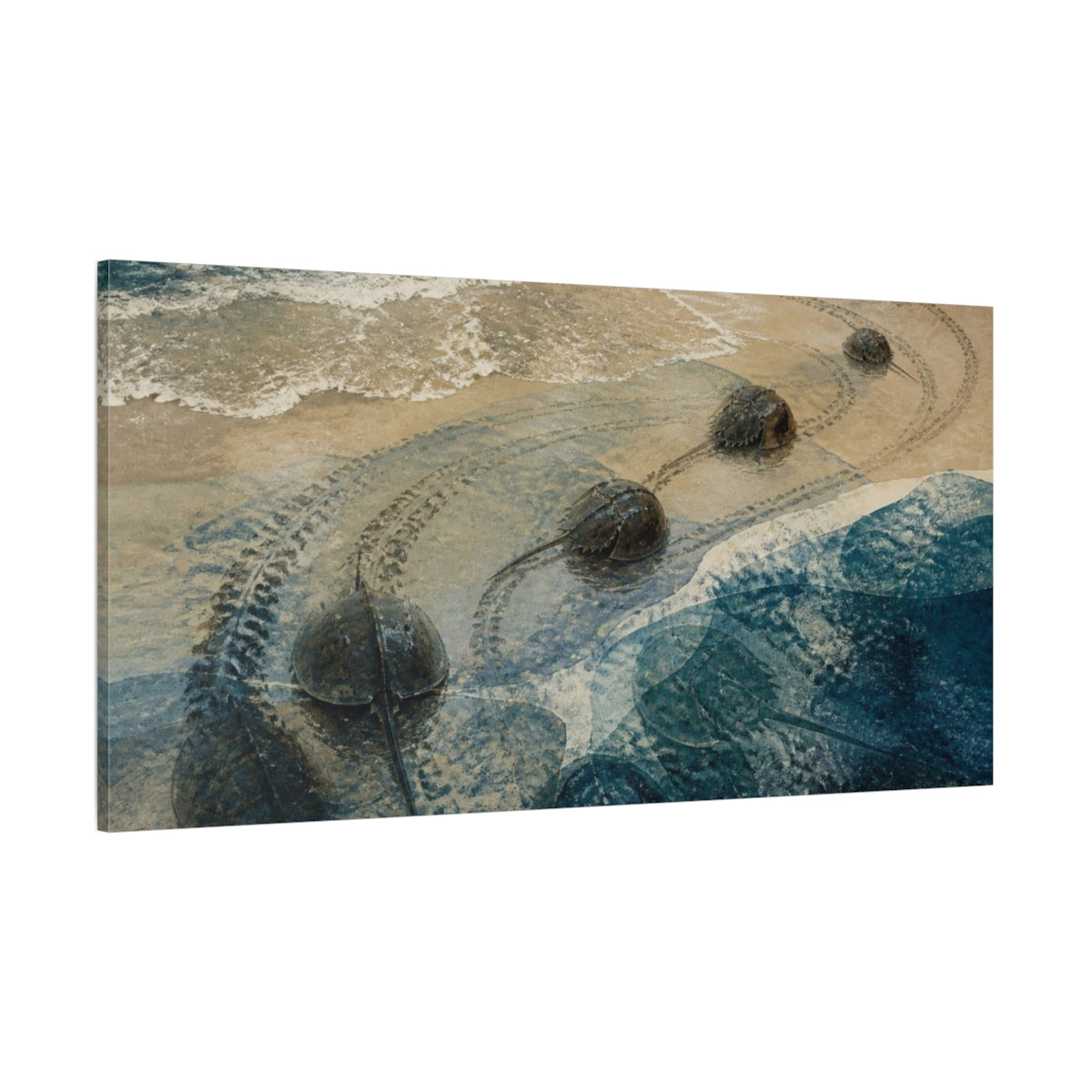 Side Mockup 2. Coastal Horseshoe Crabs shown as canvas print
