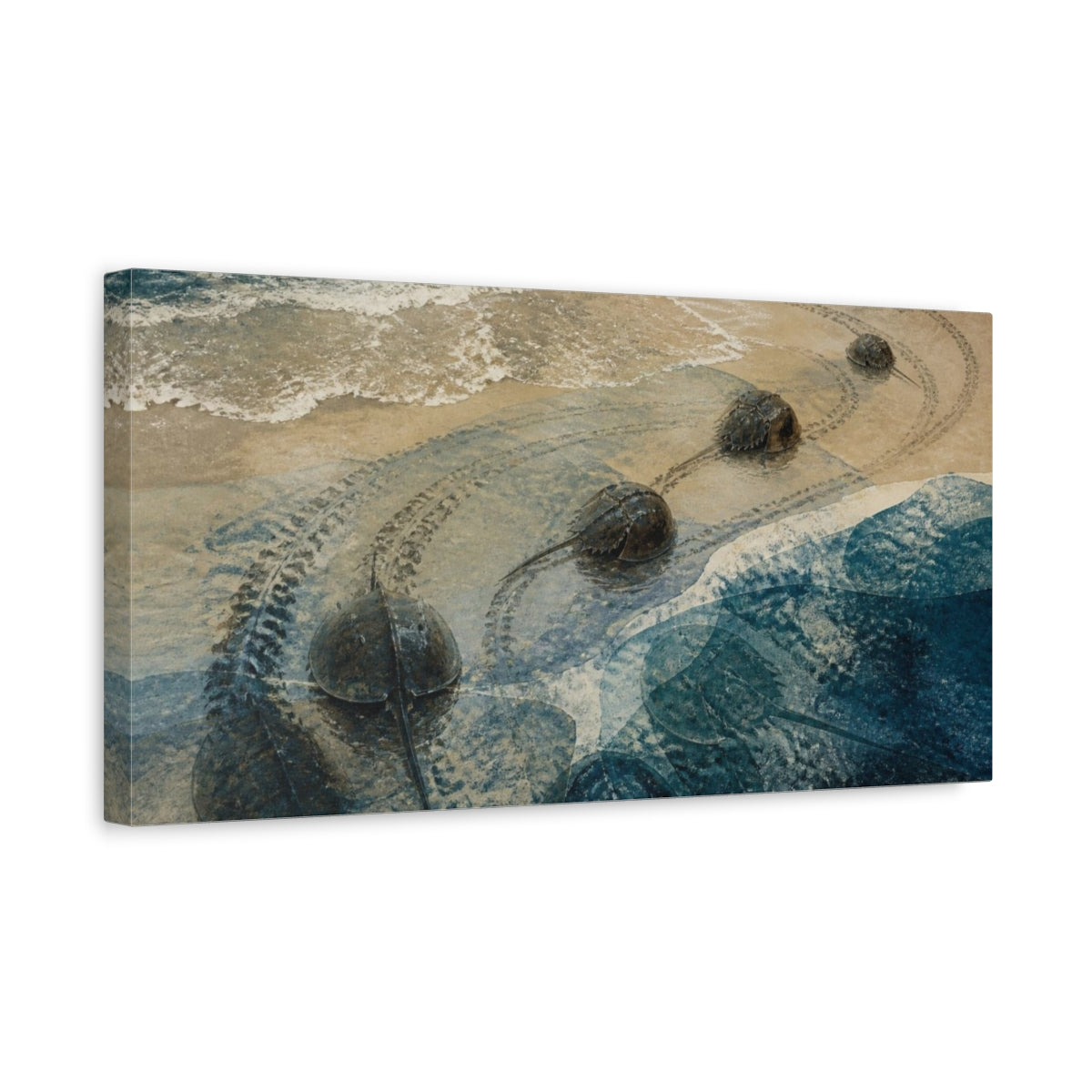 Side Mockup 3. Coastal Horseshoe Crabs shown as canvas print