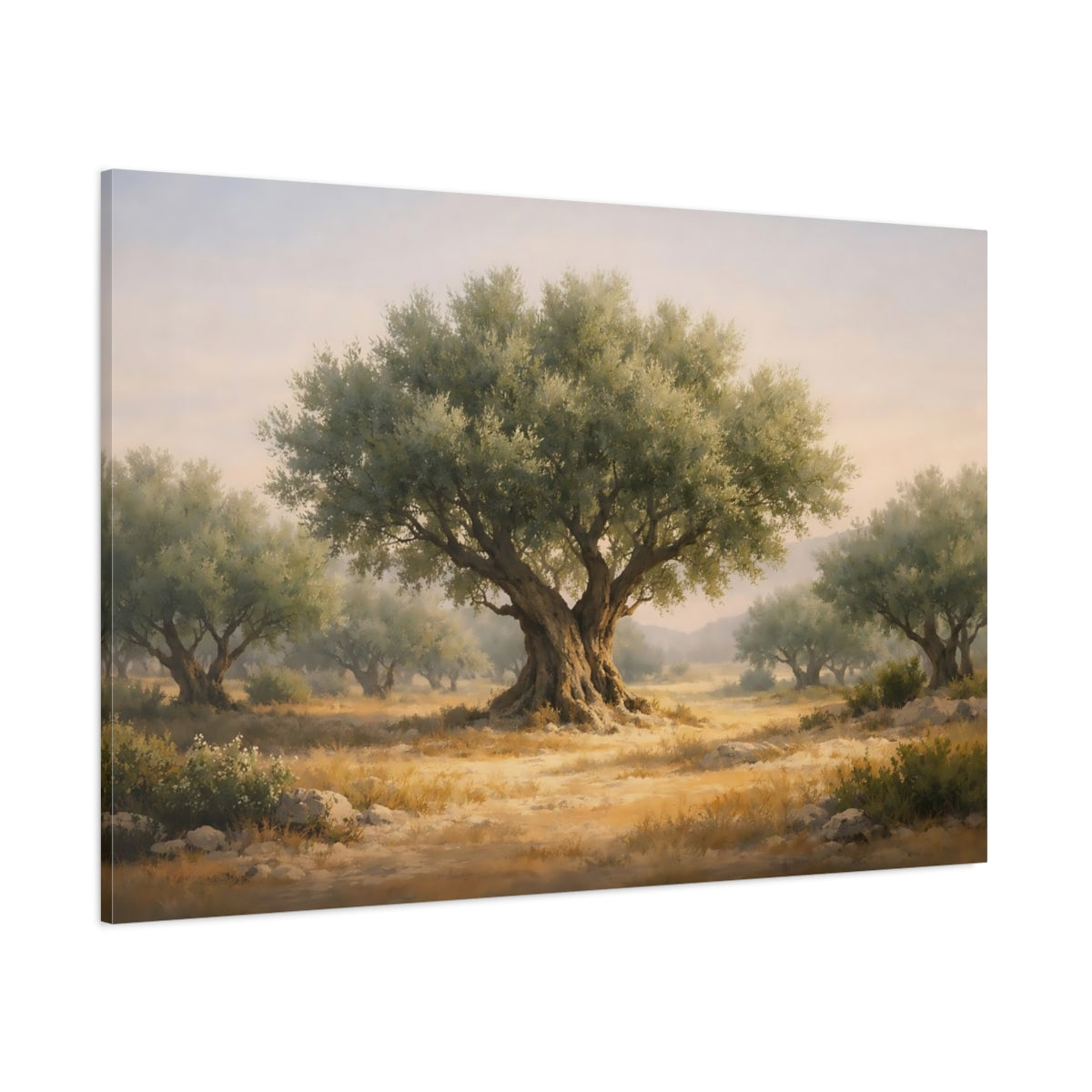 Contemporary Olive Grove shown as stretched canvas wall art