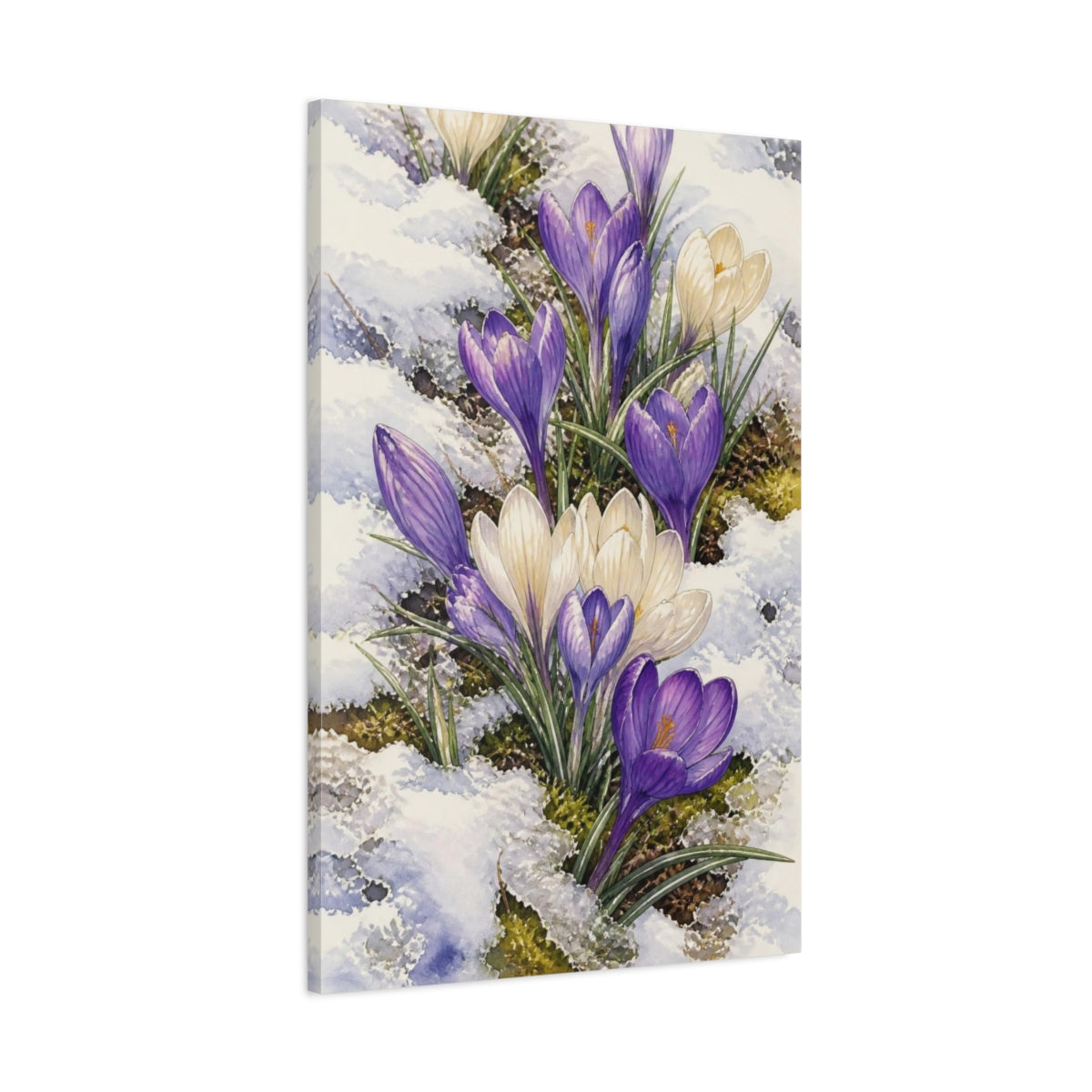 Main Mockup. Crocus Nature Bloom shown as canvas print