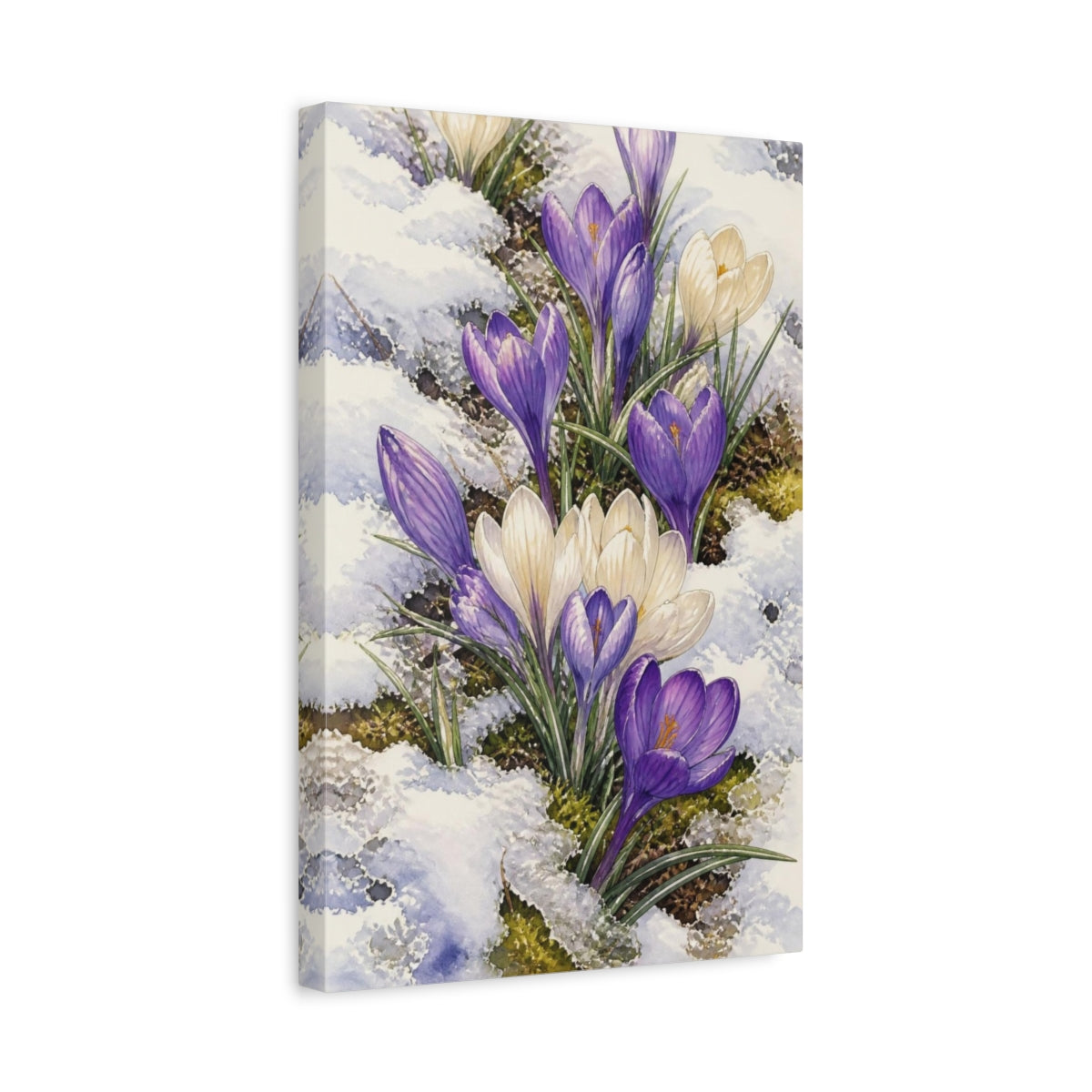 Side Mockup 4. Crocus Nature Bloom shown as canvas print