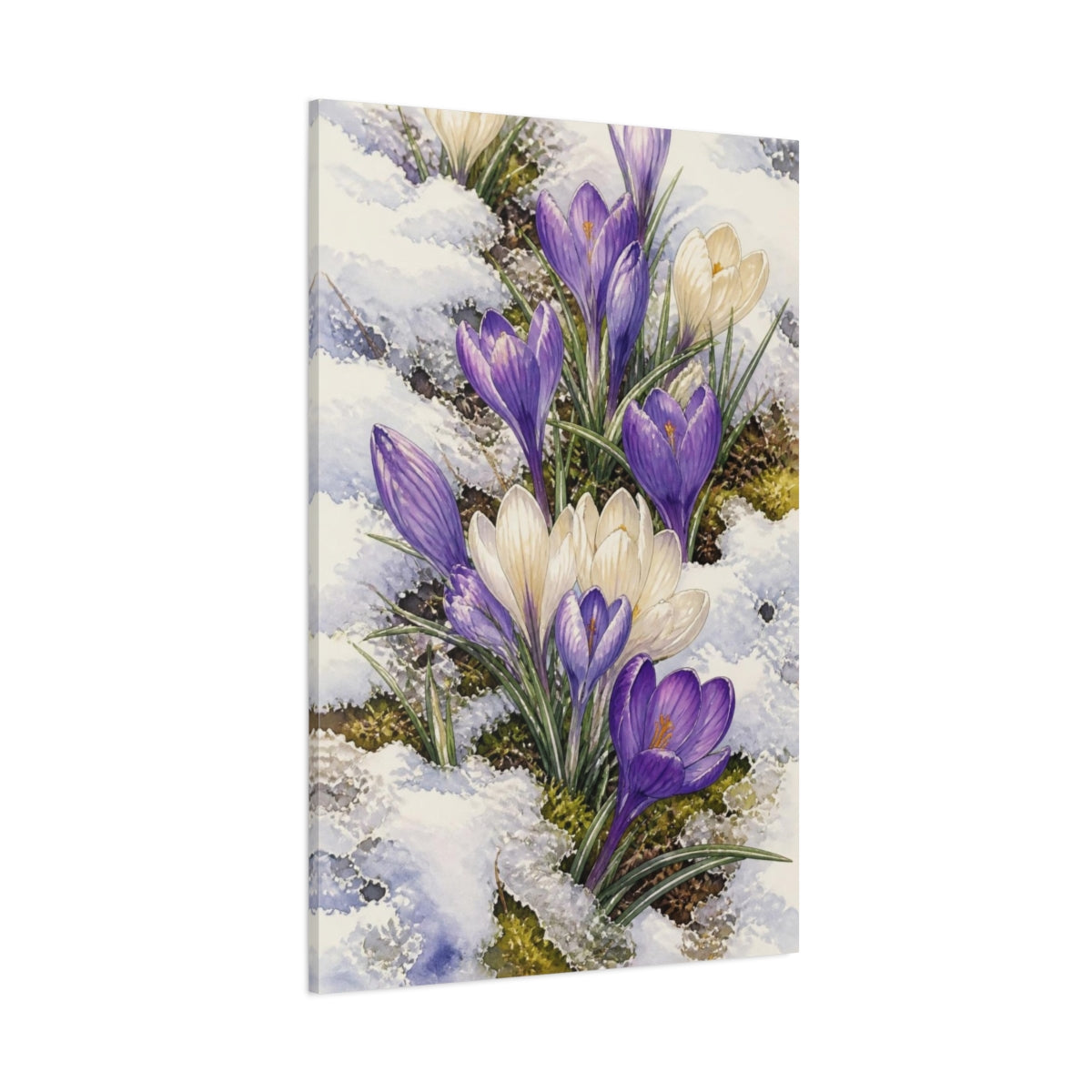 Side Mockup 1. Crocus Nature Bloom shown as canvas print