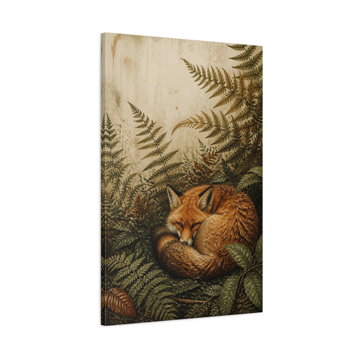 Main Mockup. Curled Fox Animal shown as canvas print