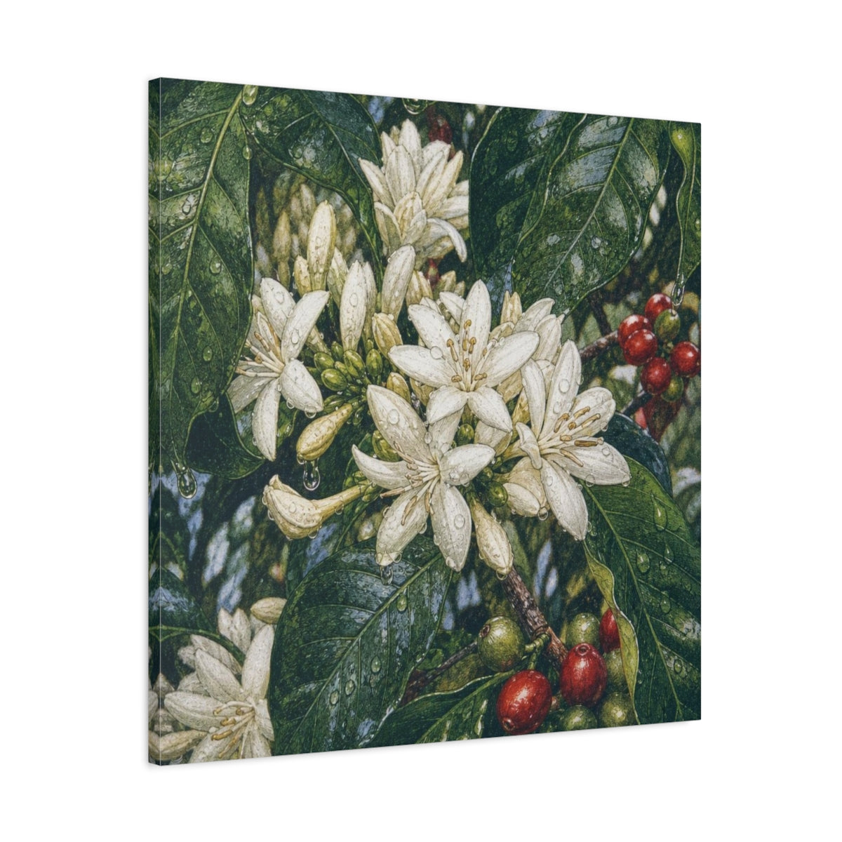 Side Mockup 3. Dewy Coffee Blossoms shown as canvas print