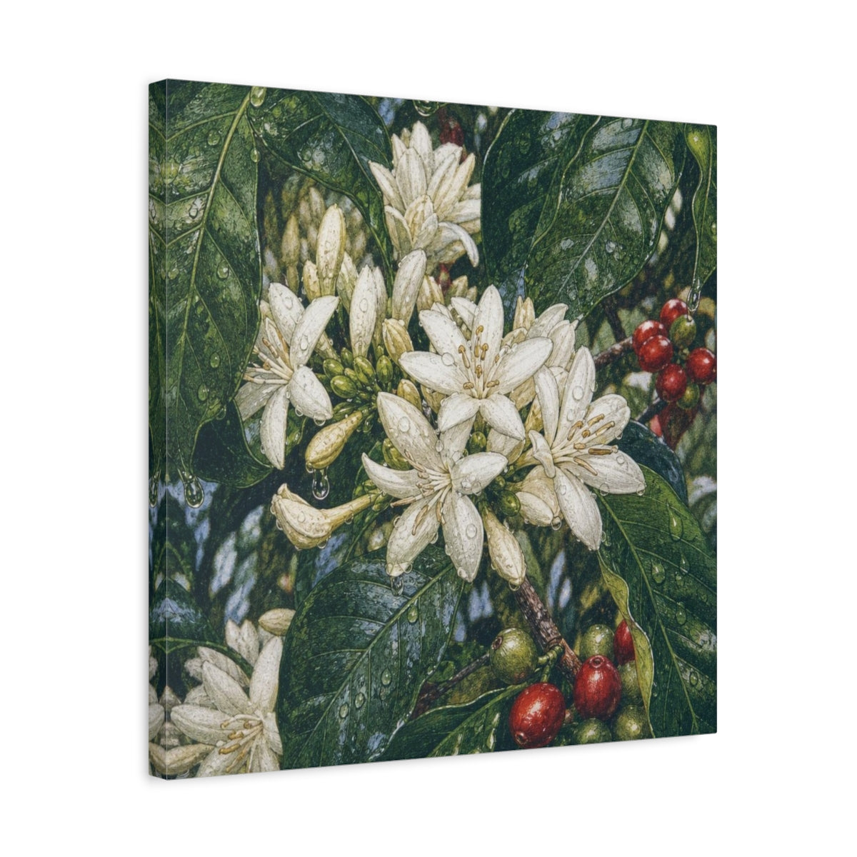 Side Mockup 5. Dewy Coffee Blossoms shown as canvas print