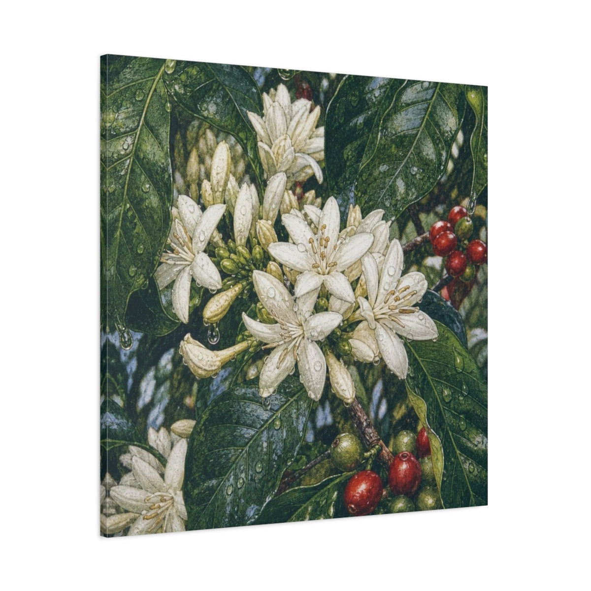 Side Mockup 1. Dewy Coffee Blossoms shown as canvas print