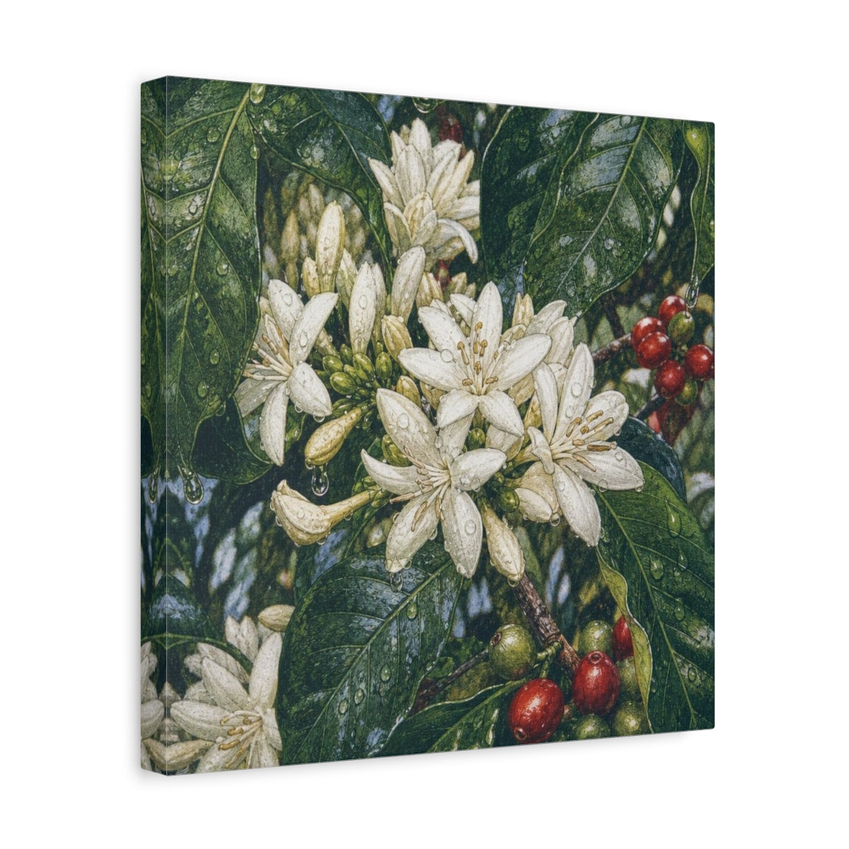 Side Mockup 7. Dewy Coffee Blossoms shown as canvas print