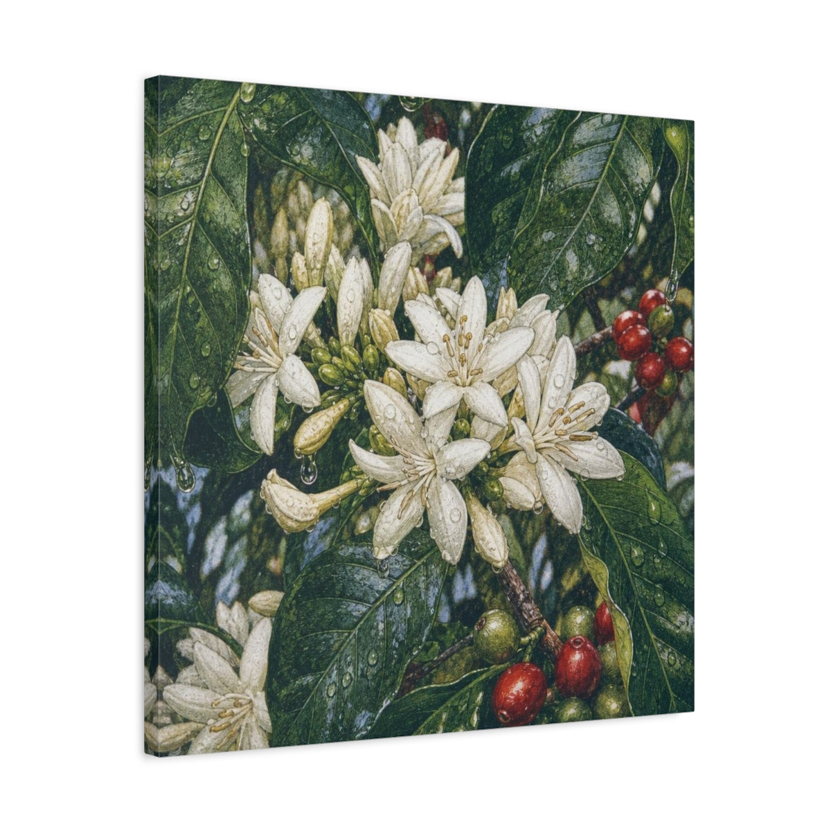 Side Mockup 4. Dewy Coffee Blossoms shown as canvas print
