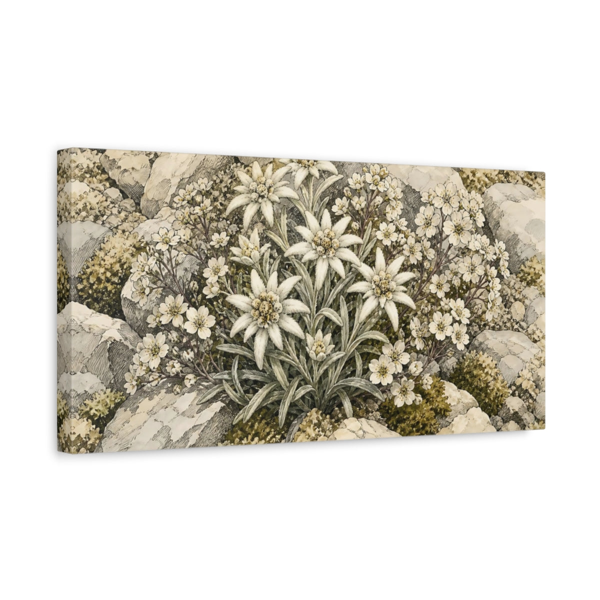Side Mockup 3. Edelweiss Plant Floral Alpine shown as canvas print