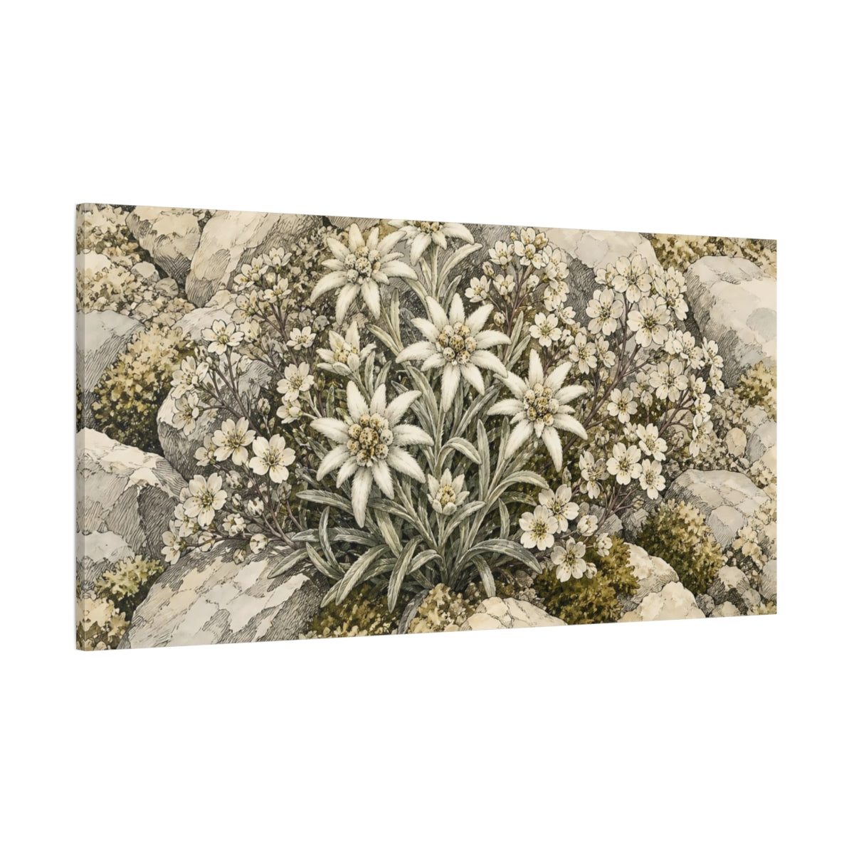 Side Mockup 2. Edelweiss Plant Floral Alpine shown as canvas print