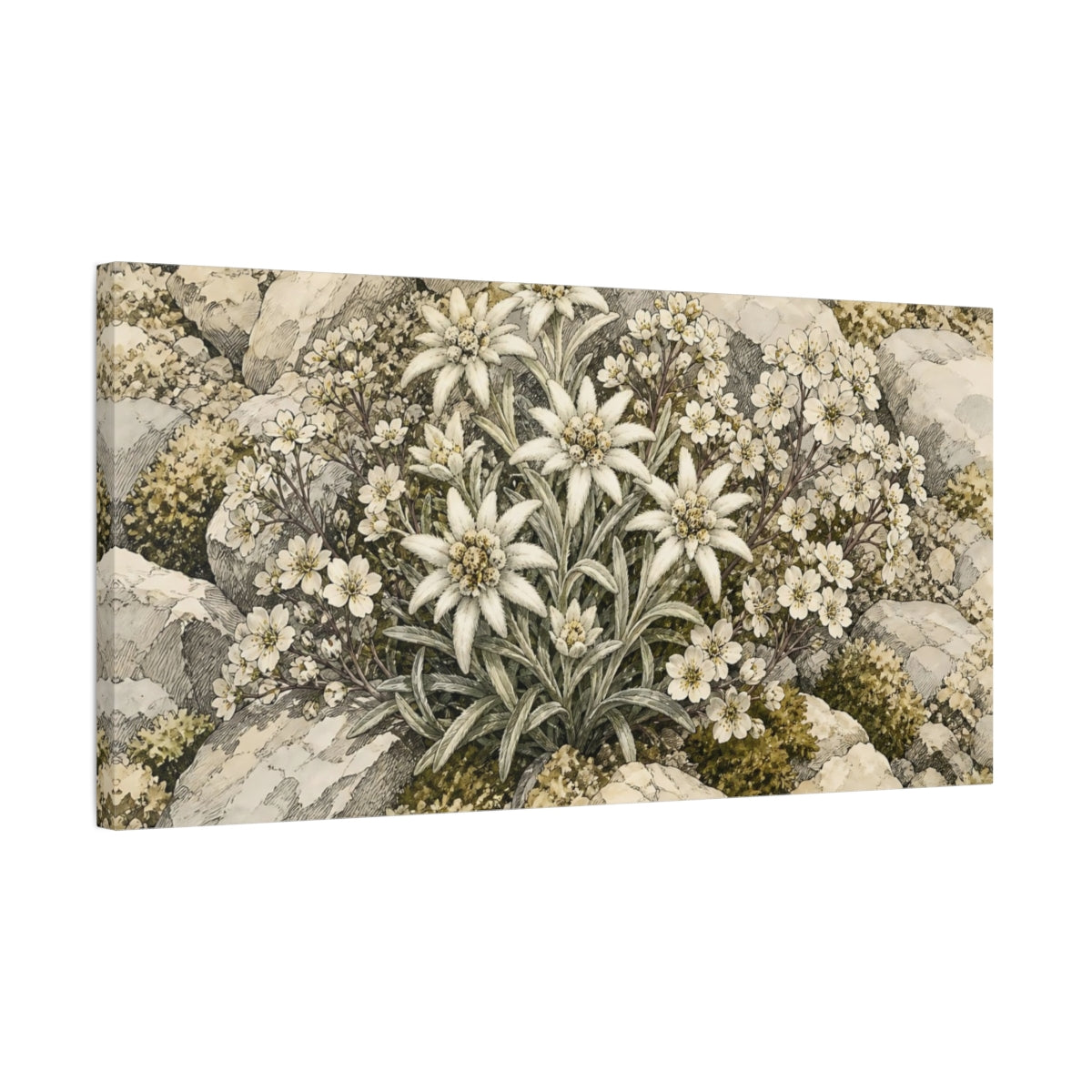 Side Mockup 1. Edelweiss Plant Floral Alpine shown as canvas print