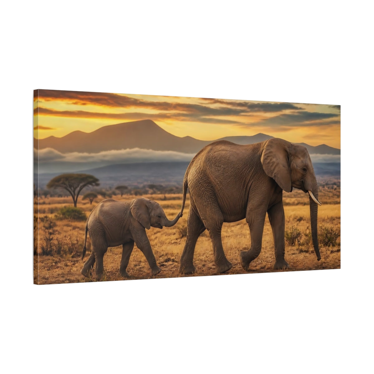 Main Mockup. Elephant Mother And Calf Sunset shown as canvas print