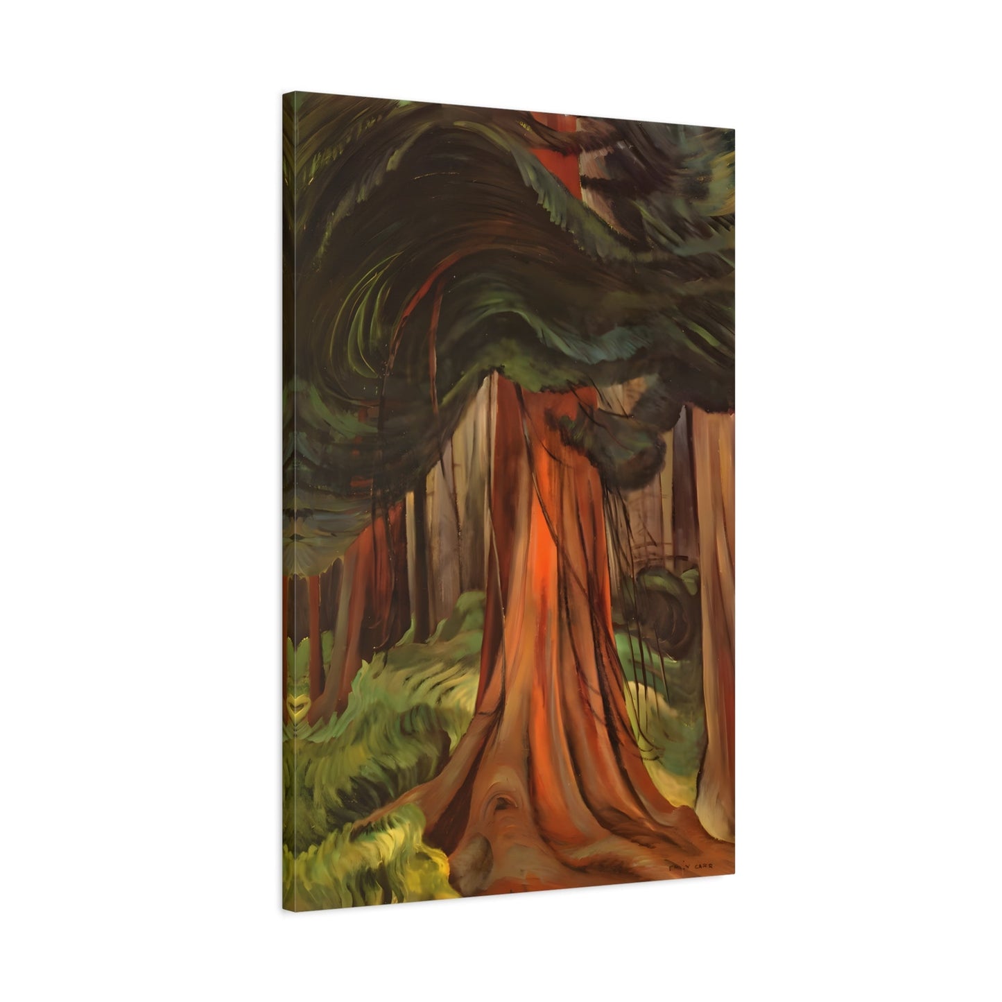 Emily Carr Red Cedar Canada Landscape - Canvas Wall Art Print