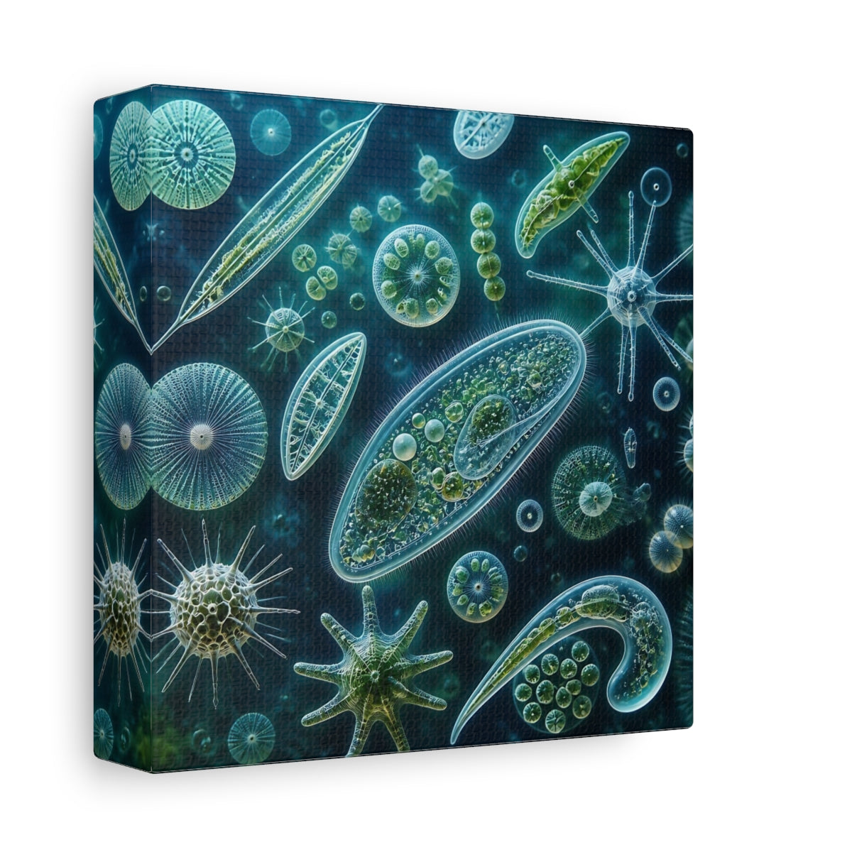 Side Mockup 2. Ethereal Plankton Study shown as canvas print