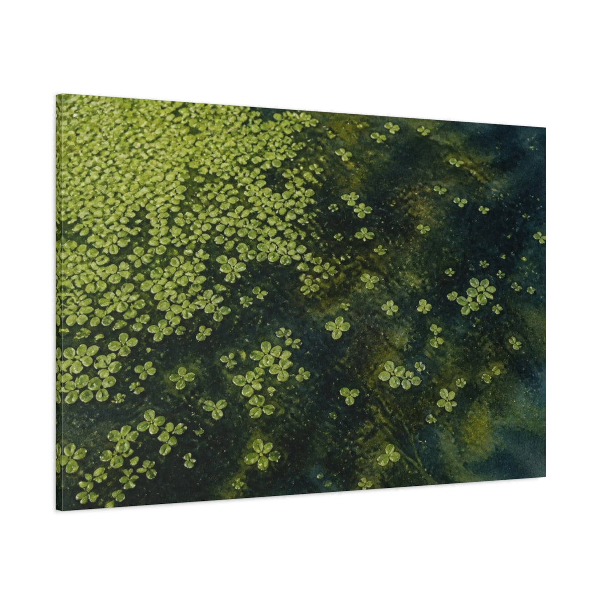 Side Mockup 1. Floating Duckweed Pond shown as canvas print