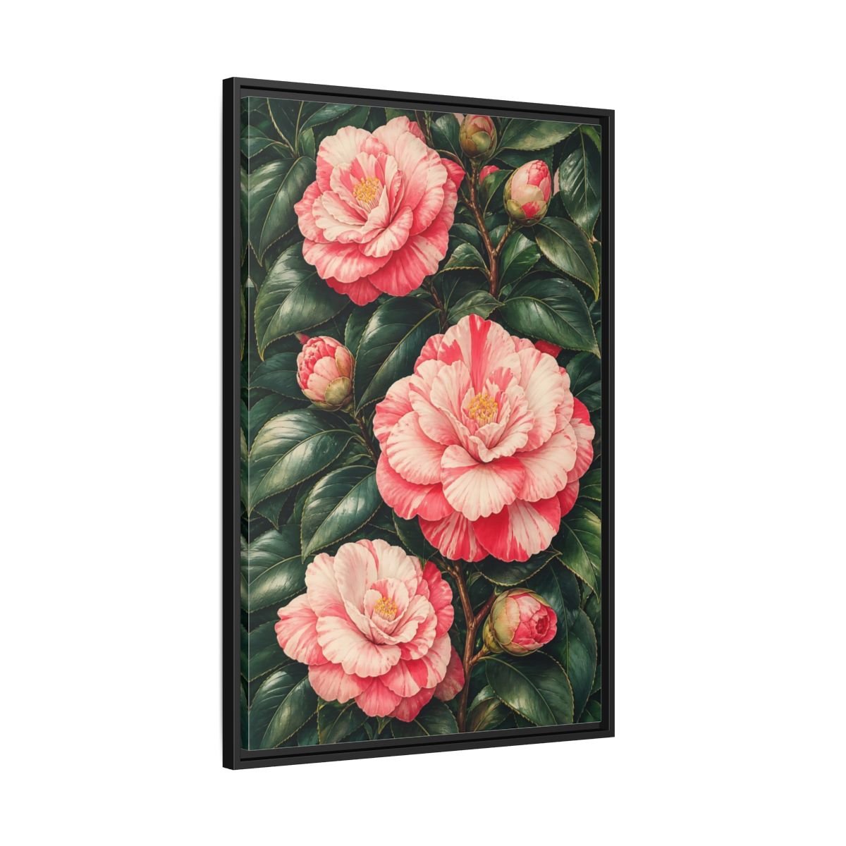 Floral Camellia Pink Framed Canvas Print Wall Art – botanical illustration Living Room, Above Couch - YesArtYes