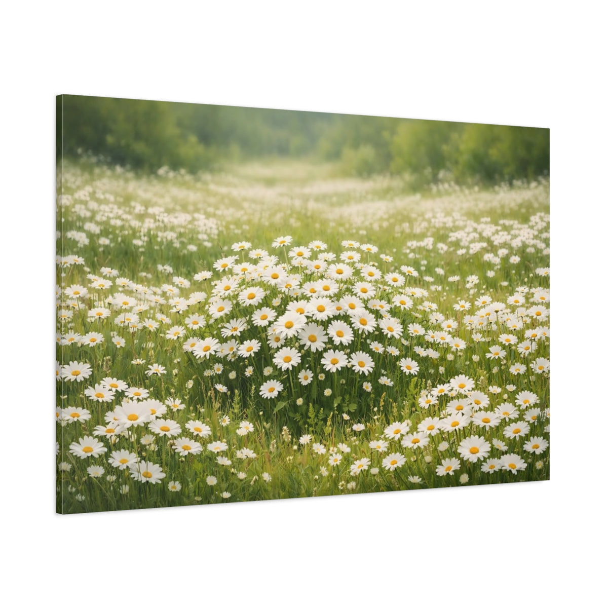 Main Mockup. Floral Daisies White Daisies shown as stretched canvas wall art