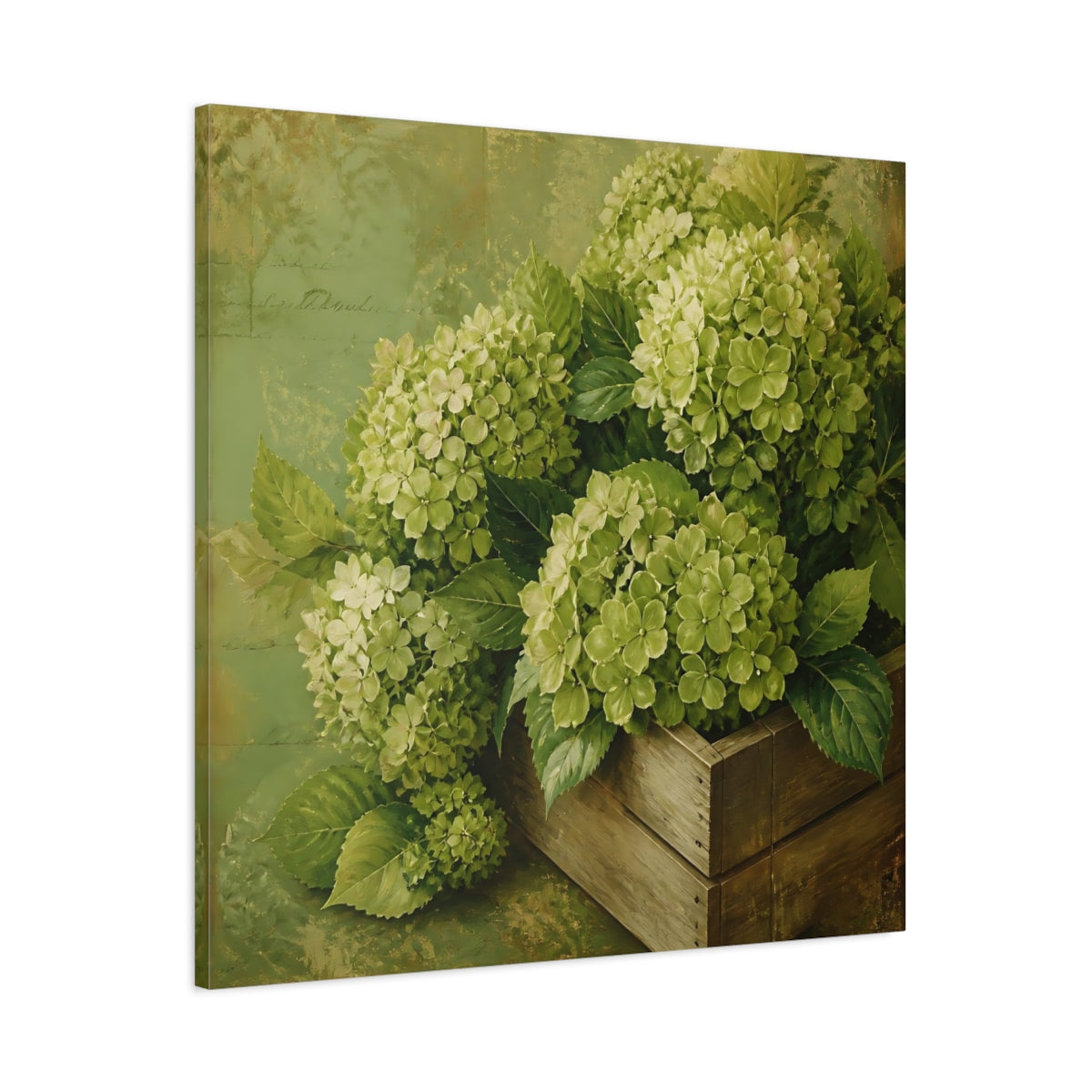 Main Mockup. Floral Hydrangeas Green Hydrangeas shown as stretched canvas wall art