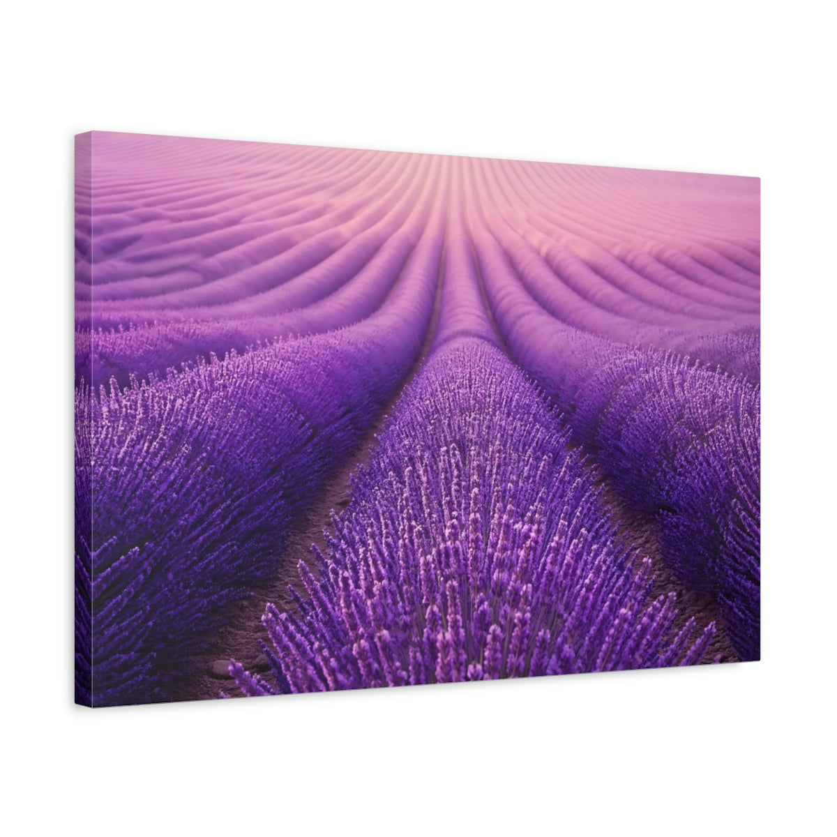 Side Mockup 3. Floral Lavender Field Purple Lavender Field shown as stretched canvas wall art