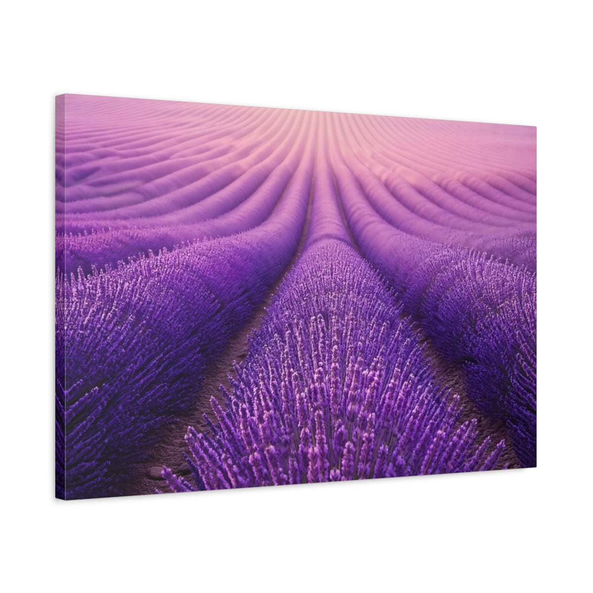 Side Mockup 2. Floral Lavender Field Purple Lavender Field shown as stretched canvas wall art