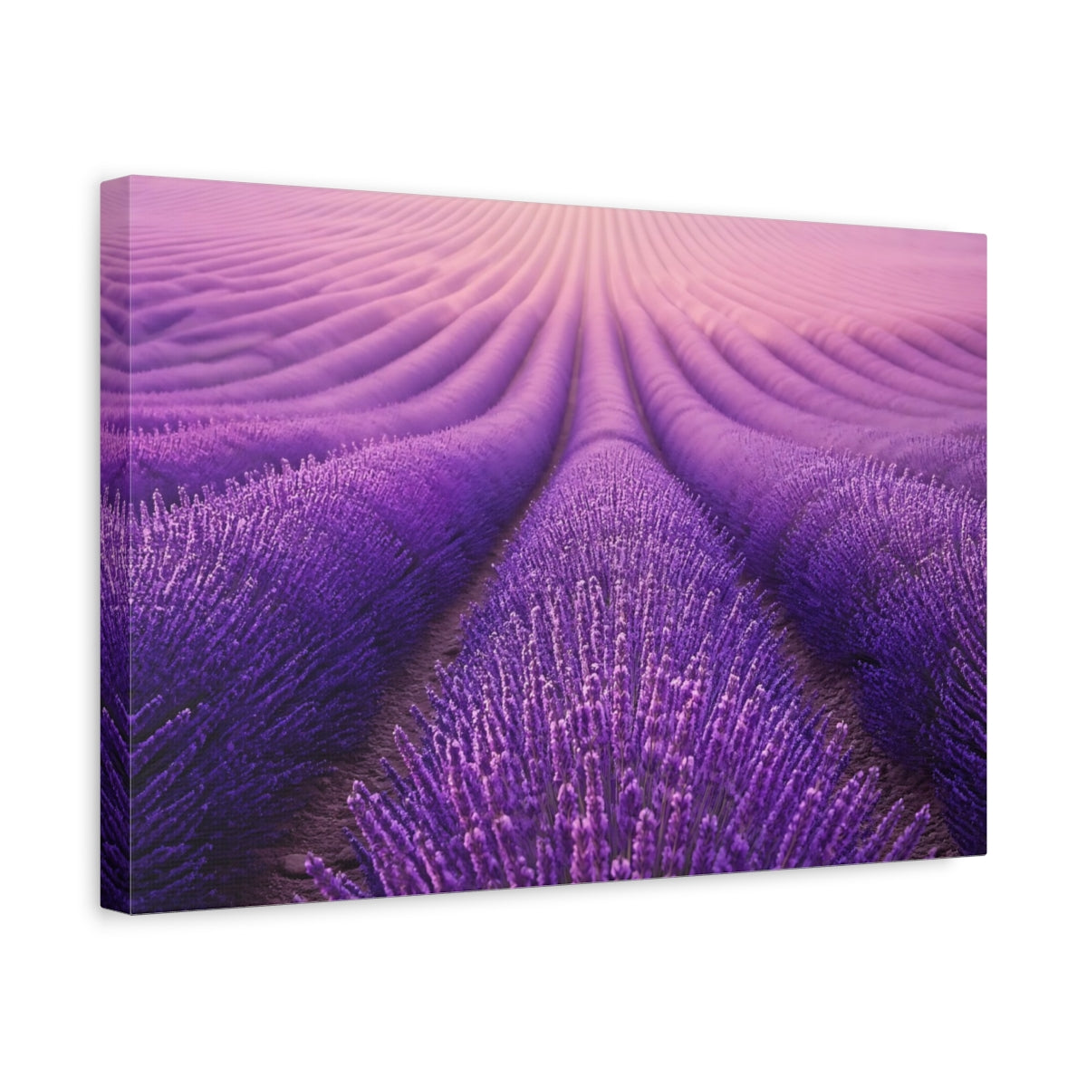 Side Mockup 4. Floral Lavender Field Purple Lavender Field shown as stretched canvas wall art