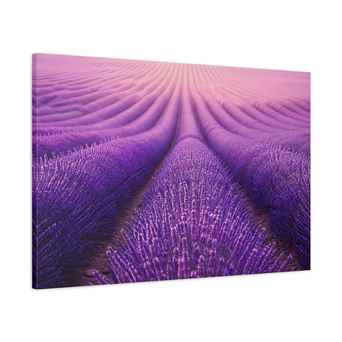 Main Mockup. Floral Lavender Field Purple Lavender Field shown as stretched canvas wall art