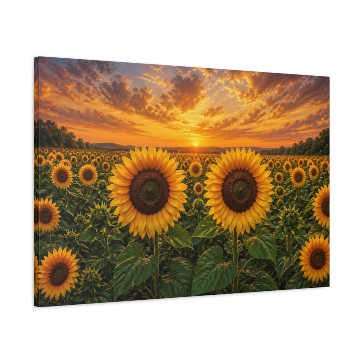 Main Mockup. Floral Sunflowers Yellow And Orange shown as stretched canvas wall art