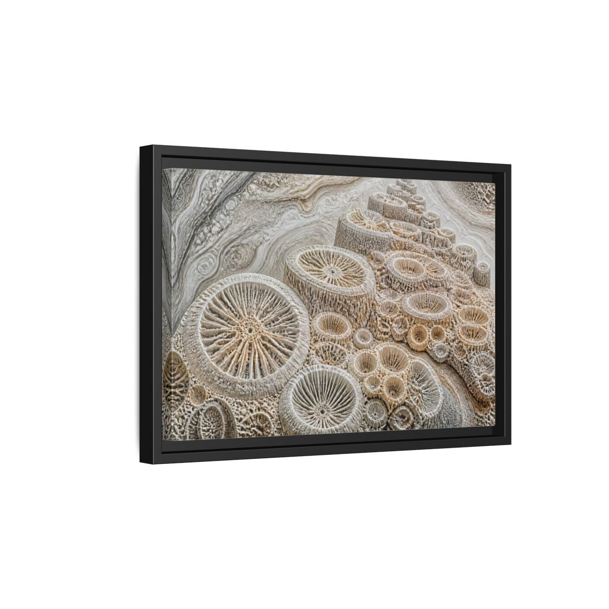 Side Mockup 6. Fossil Coral Close-Up shown as framed canvas print