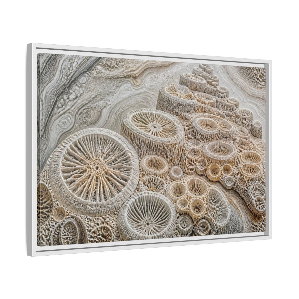 Side Mockup 10. Fossil Coral Close-Up shown as framed canvas print