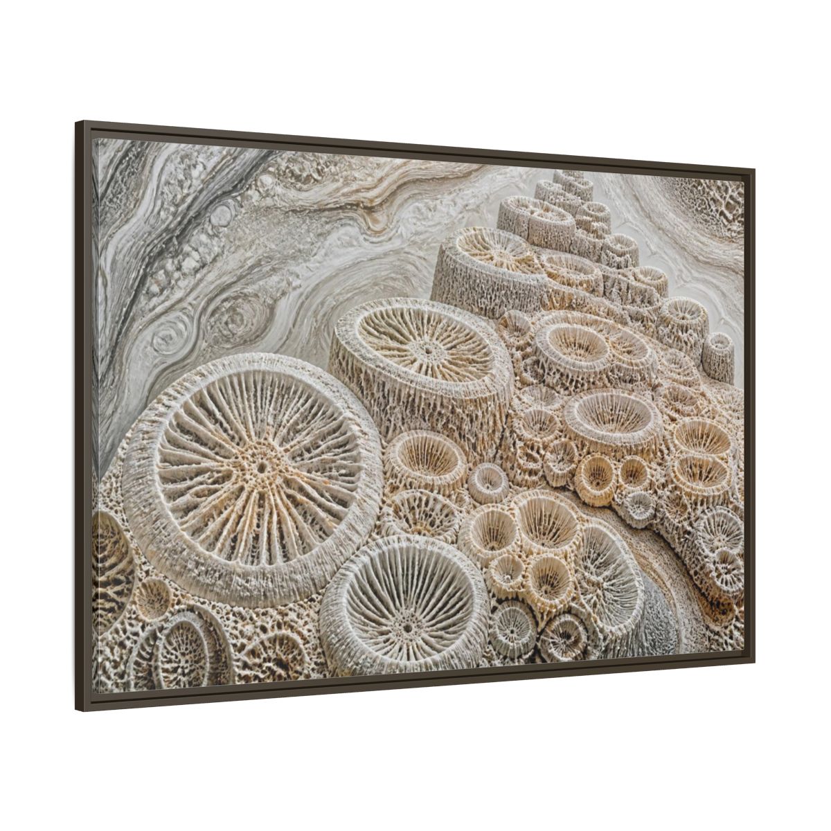Side Mockup 8. Fossil Coral Close-Up shown as framed canvas print