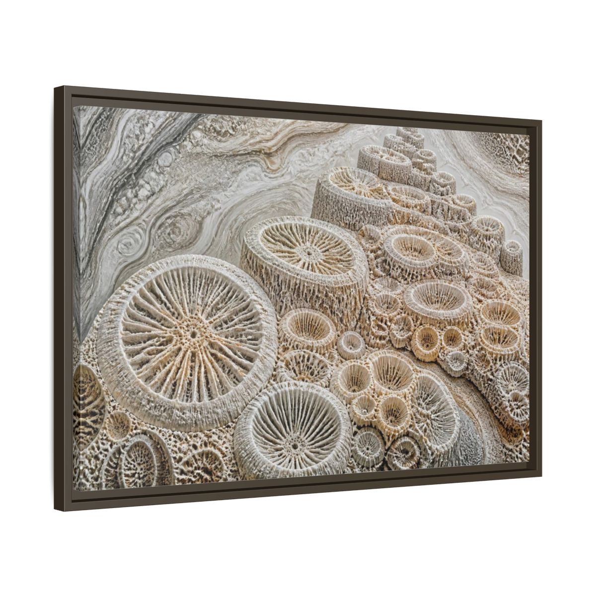 Side Mockup 11. Fossil Coral Close-Up shown as framed canvas print