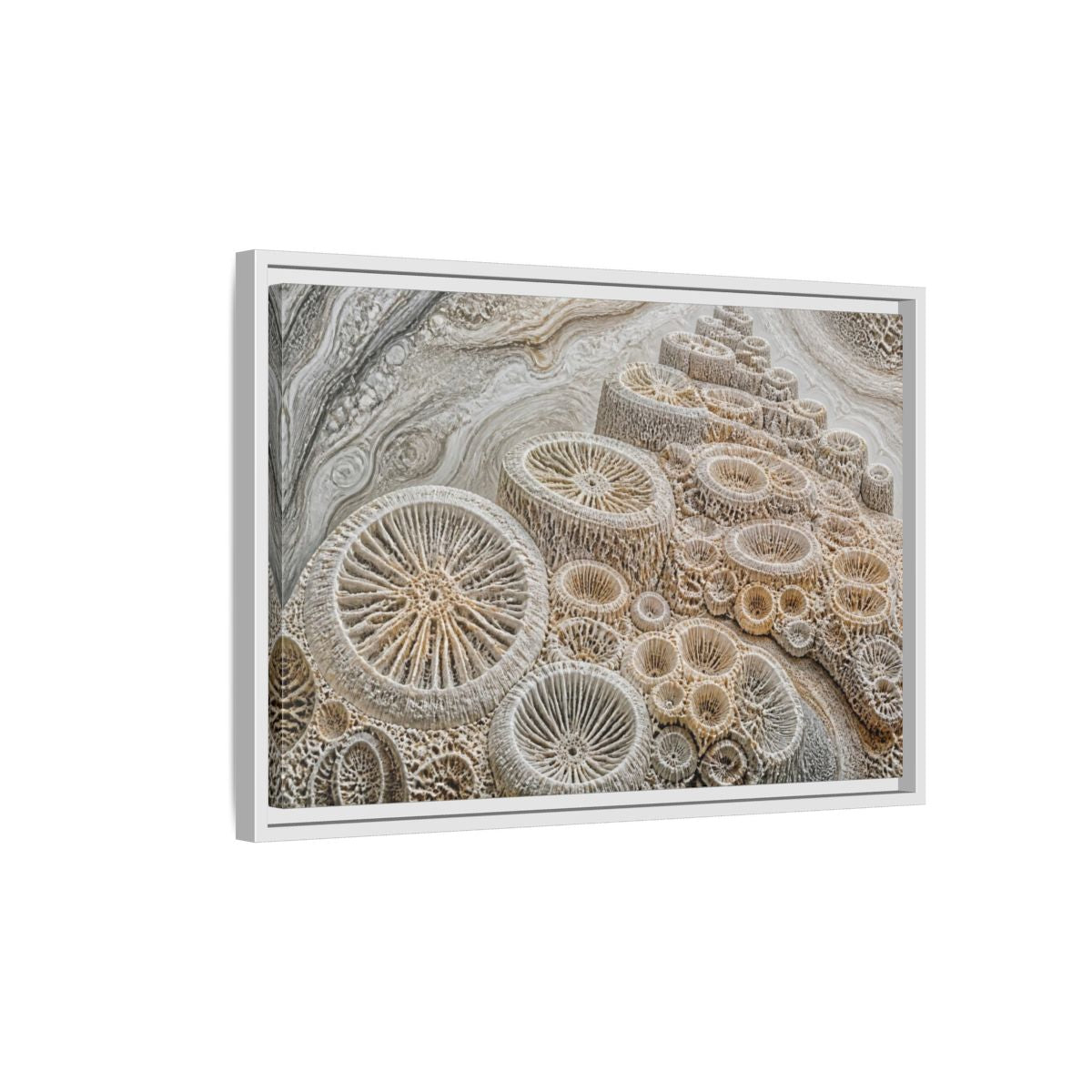 Side Mockup 1. Fossil Coral Close-Up shown as framed canvas print