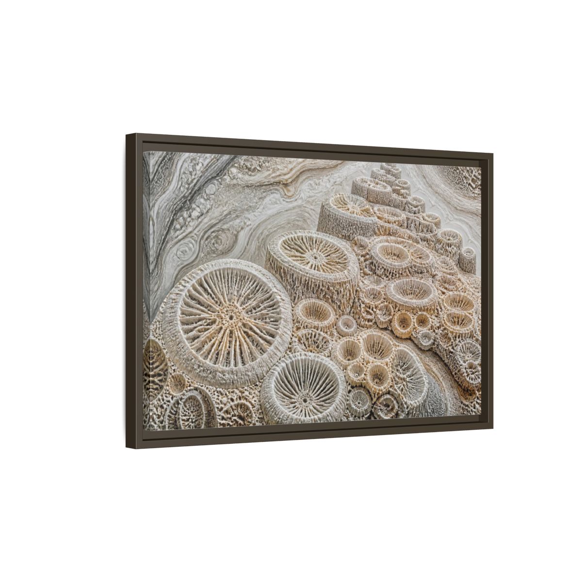 Side Mockup 2. Fossil Coral Close-Up shown as framed canvas print