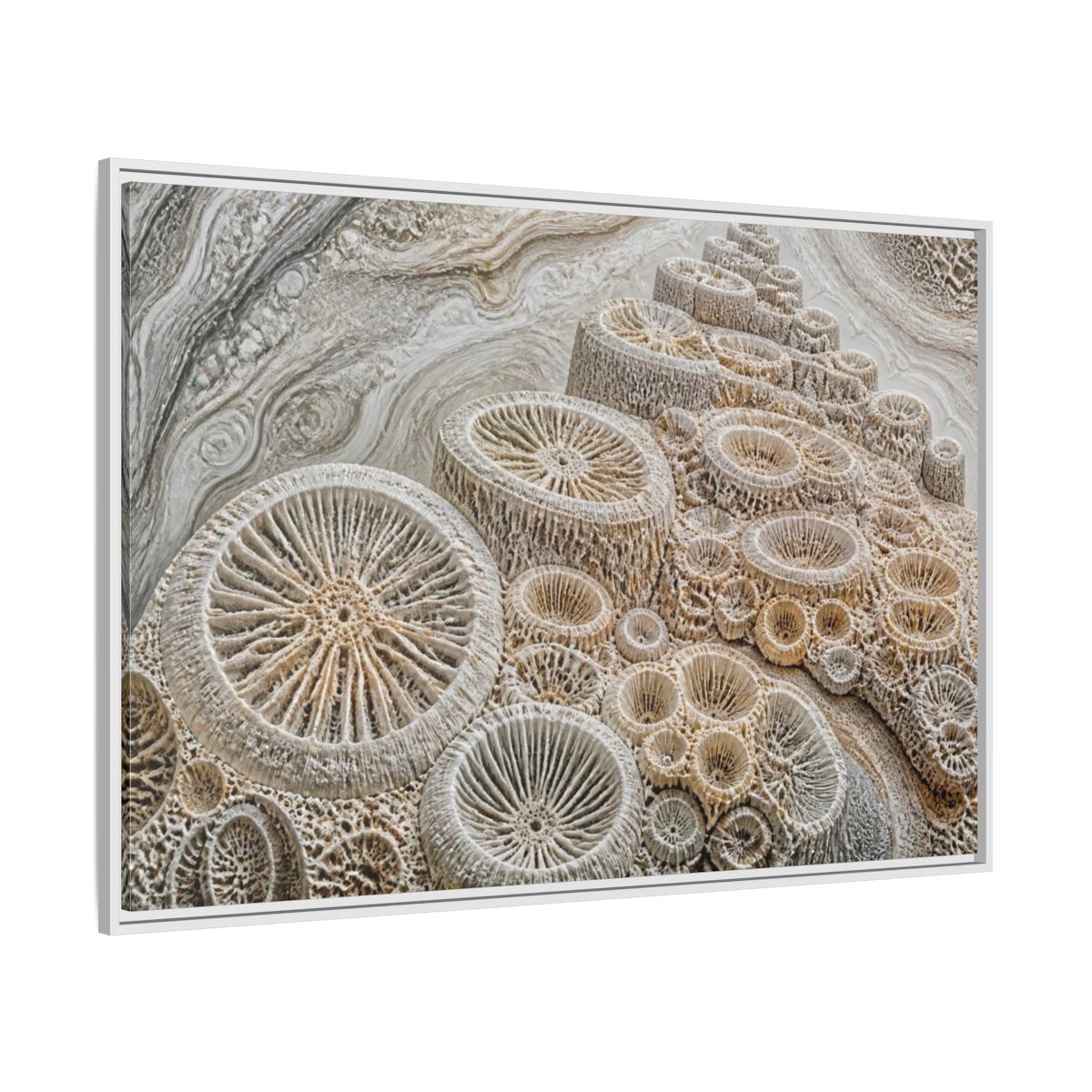 Side Mockup 7. Fossil Coral Close-Up shown as framed canvas print
