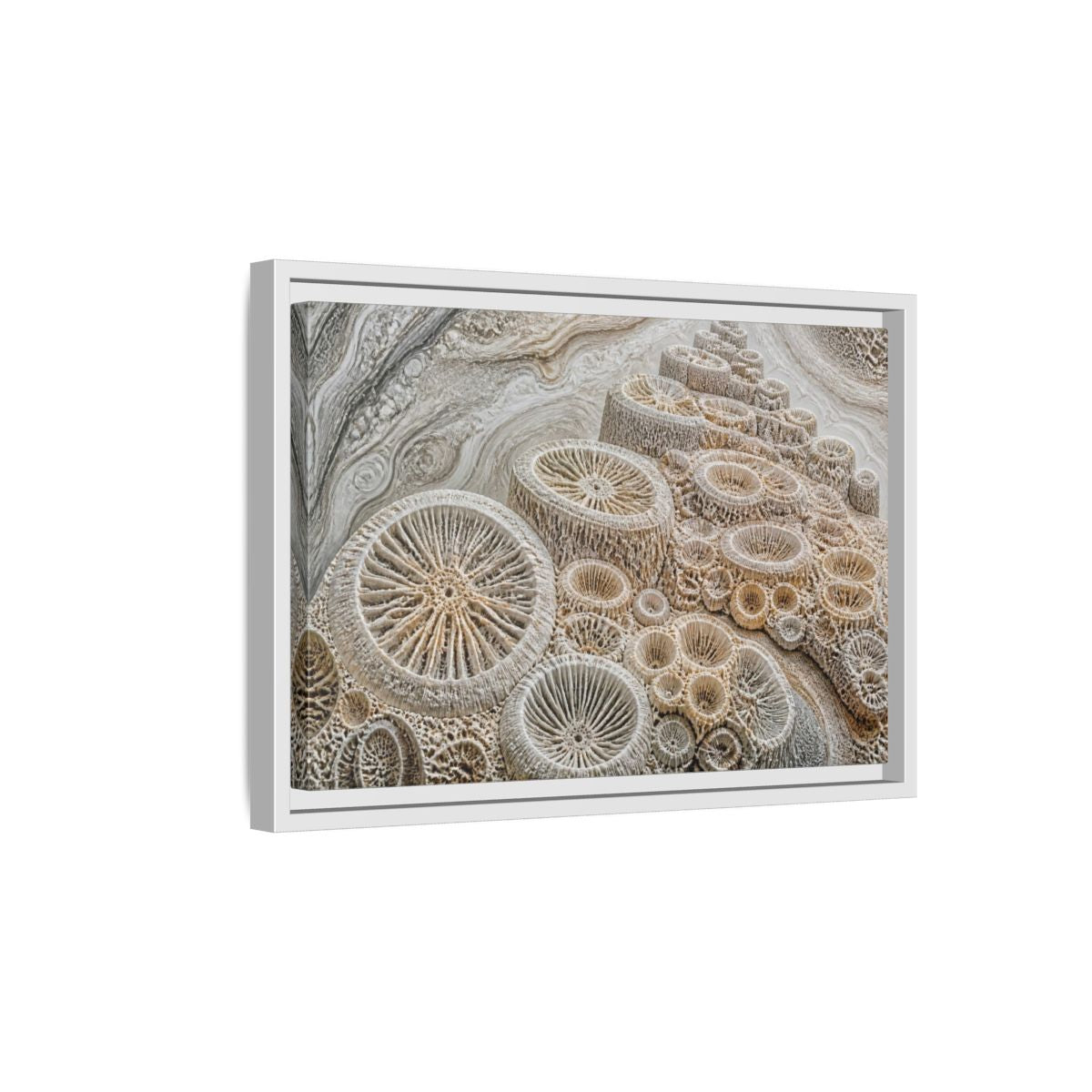 Side Mockup 4. Fossil Coral Close-Up shown as framed canvas print