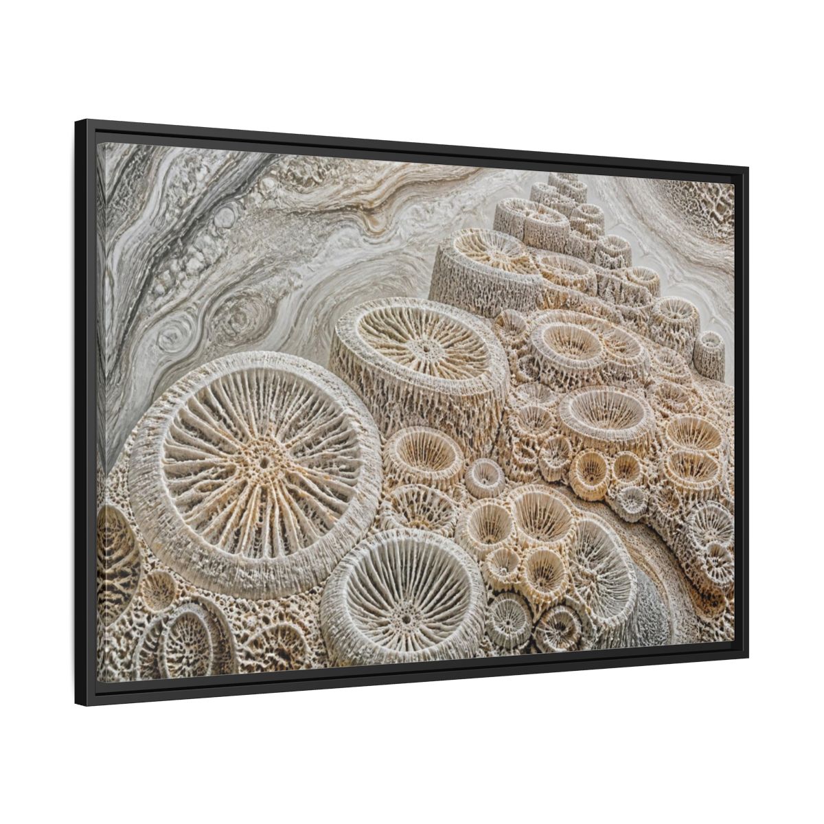 Side Mockup 13. Fossil Coral Close-Up shown as framed canvas print