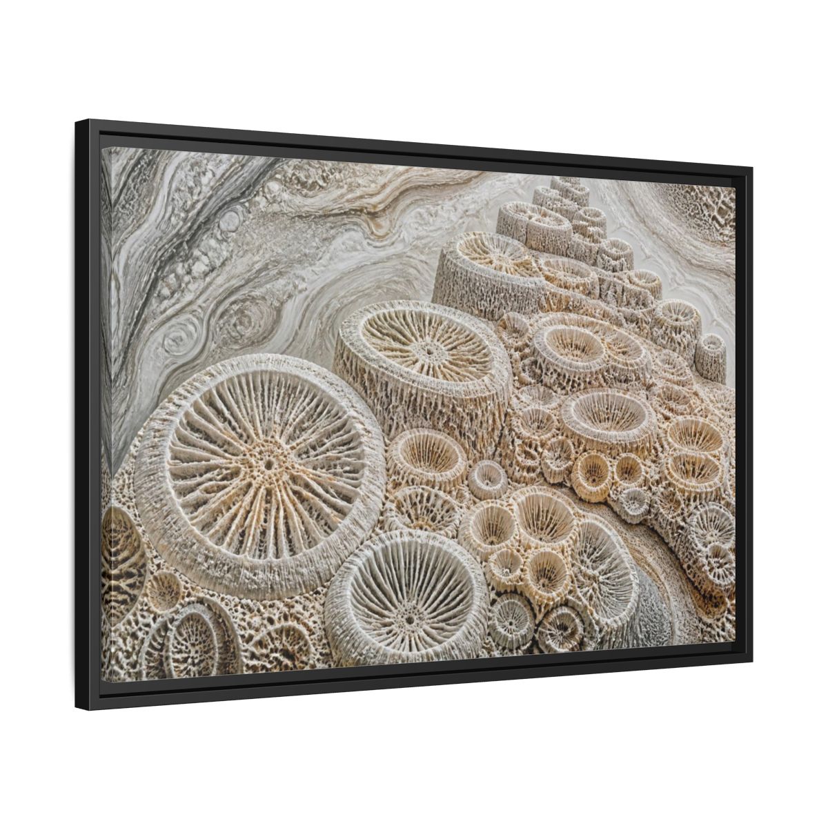 Side Mockup 14. Fossil Coral Close-Up shown as framed canvas print