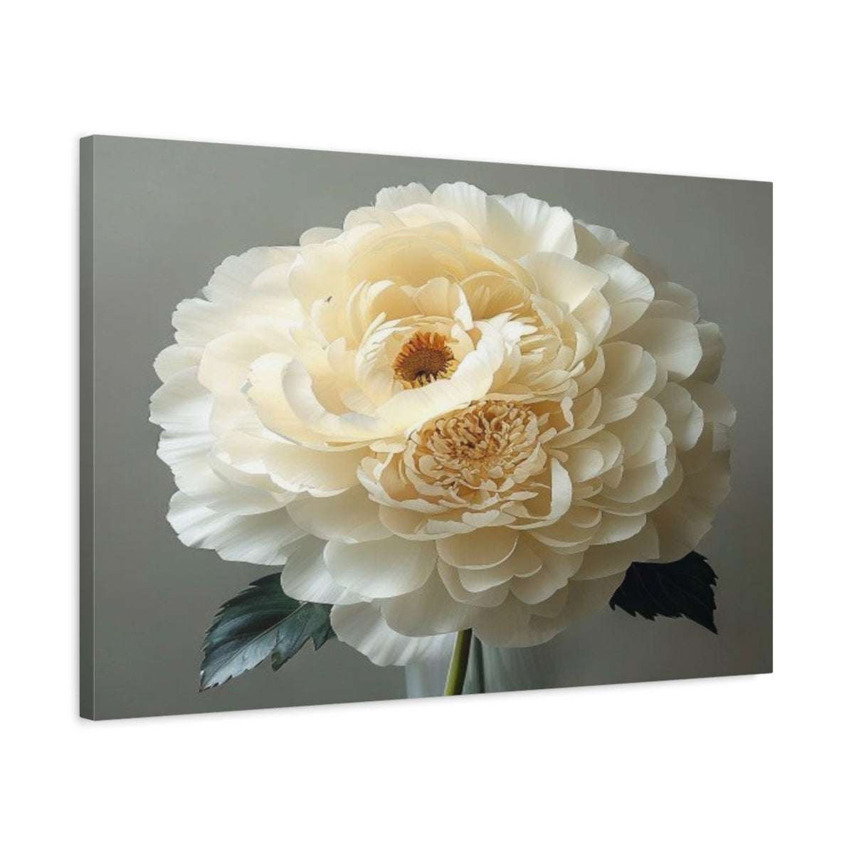 Side Mockup 2. Giant Ivory Ranunculus shown as canvas print