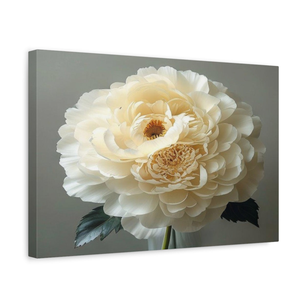 Side Mockup 4. Giant Ivory Ranunculus shown as canvas print