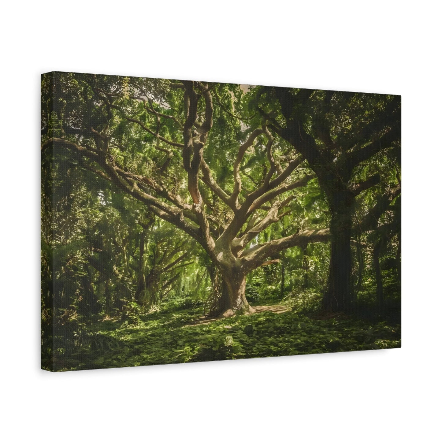 Green Forest Wall Art Canvas Print - Nature Tree Landscape for Living Room