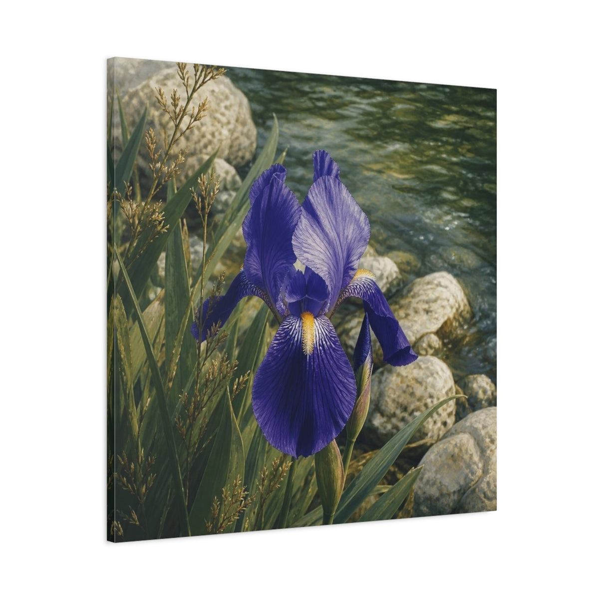 Main Mockup. Indigo Iris Beside Stones shown as canvas print