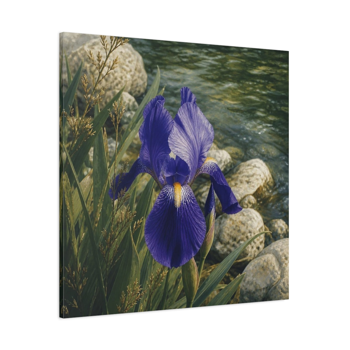 Side Mockup 1. Indigo Iris Beside Stones shown as canvas print