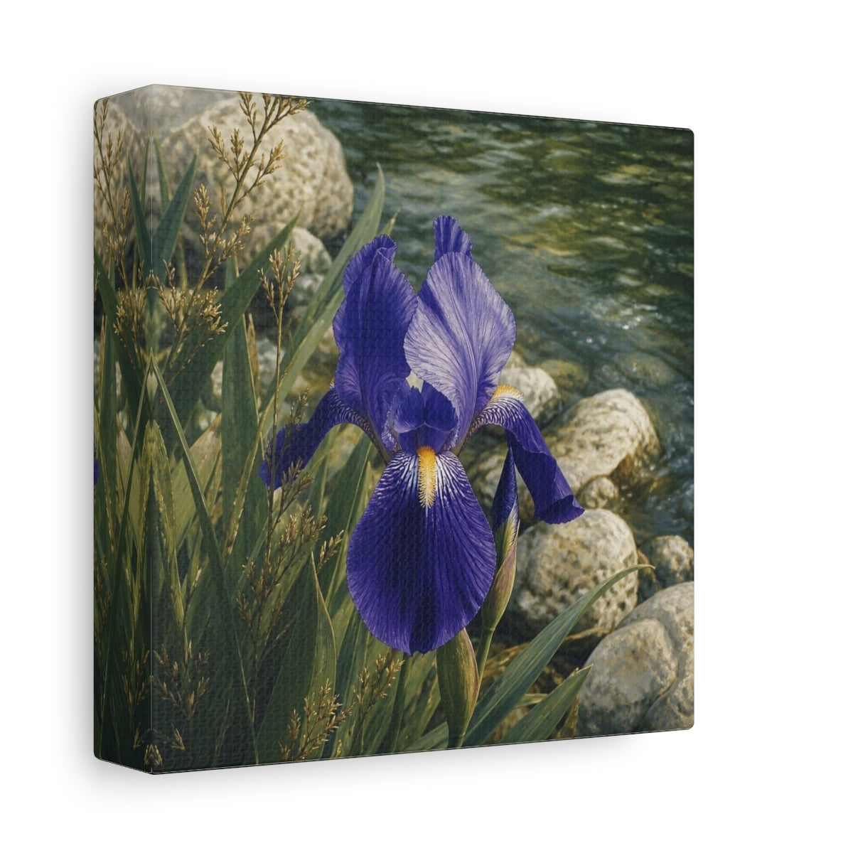 Side Mockup 2. Indigo Iris Beside Stones shown as canvas print