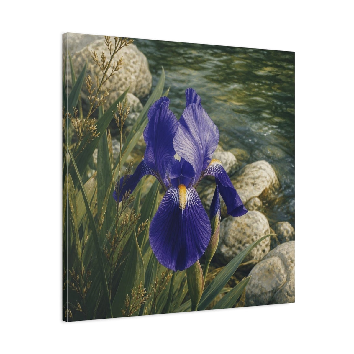 Side Mockup 3. Indigo Iris Beside Stones shown as canvas print