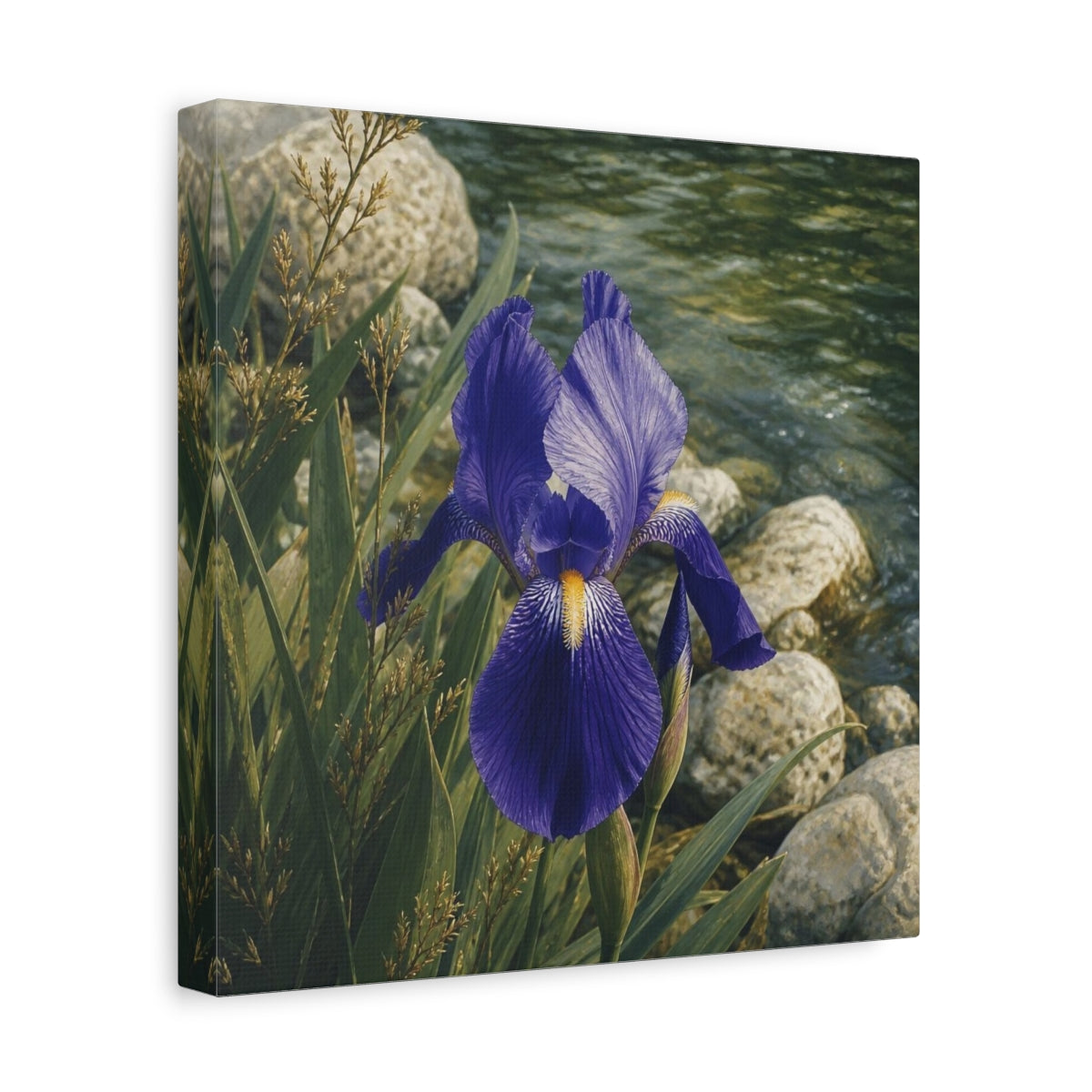 Side Mockup 8. Indigo Iris Beside Stones shown as canvas print
